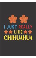 I Just Really Like Chihuahua