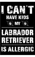 I Can't Have Kids My Labrador Retriever Is Allergic