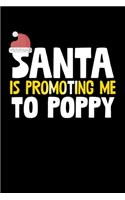 Santa Is Promoting Me To Poppy