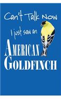 Can't Talk Now I Just Saw An American Goldfinch