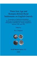Three Iron Age and Romano-British Rural Settlements on English Gravels