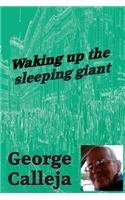 Waking Up The Sleeping Giant