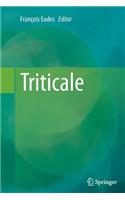 Triticale