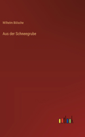 Aus der Schneegrube