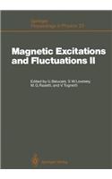 Magnetic Excitations and Fluctuations