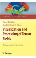 Visualization and Processing of Tensor Fields