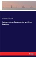 Spinnen aus der Tatra und den westlichen Beskiden