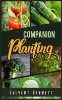 Companion Planting