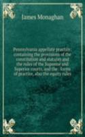 Pennsylvania appellate practice: containing the provisions of the constitution and statutes and the rules of the Supreme and Superior courts, and the . forms of practice, also the equity rules