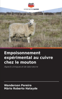 Empoisonnement expérimental au cuivre chez le mouton