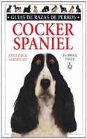 Cocker Spaniel - English & American