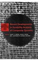 Recent Developments in Durability Analysis of Composite Systems