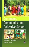 Commons, Community and Collective Action