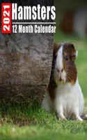 Calendar 2021 Hamsters: Cute Hamster Photos Monthly Mini Calendar With Inspirational Quotes each Month