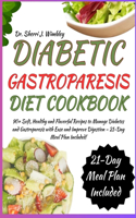 Diabetic Gastroparesis Diet Cookbook