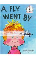 A Fly Went by