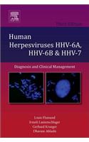 Human Herpesviruses Hhv-6a, Hhv-6b and Hhv-7