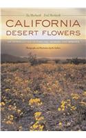 California Desert Flowers