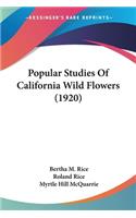 Popular Studies Of California Wild Flowers (1920)