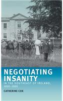 Negotiating Insanity in the Southeast of Ireland, 1820-1900