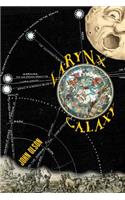 Larynx Galaxy: Prose Poems