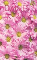 Daisies in Pink