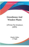 Greenhouse And Window Plants