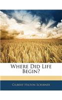 Where Did Life Begin?