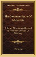 The Common Sense of Socialism: A Series of Letters Addressed to Jonathan Edwards of Pittsburg