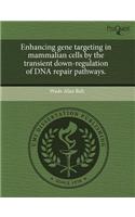 Enhancing Gene Targeting in Mammalian Cells by the Transient Down-Regulation of DNA Repair Pathways