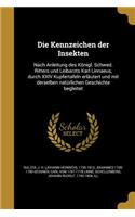 Kennzeichen der Insekten