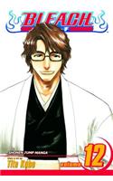 Bleach, Vol. 12