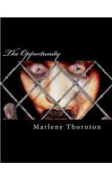 Opportunity