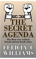 The Secret Agenda by Felicia C Williams