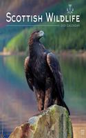 SCOTTISH WILDLIFE SQUARE WALL CALENDAR 2