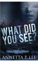 What Did You See?