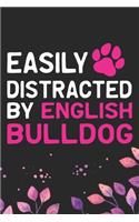 Easily Distracted by English Bulldog
