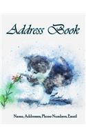 Address Book