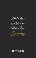 Do More Of What Makes You Ecststic