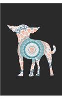 Chihuahua Flower Pattern