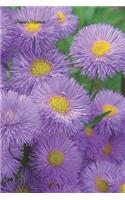 Patricia&#699;s Notebook: (3 Personalized Lined Notebook: Purple Flower Edition)