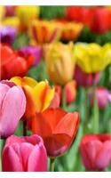 Tulips Notebook