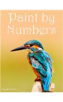 Paint by Numbers Log Book Vol. 6
