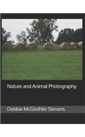 Nature and Animal Photography