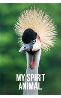 My Spirit Animal