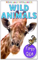 Little Q&A Wild Animals (Little Questions and Answers)