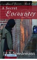 Secret Encounter (Amish Secrets #2)