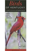 Birds of Kentucky