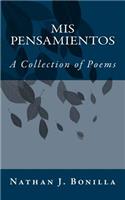 Mis Pensamientos (My Thoughts)