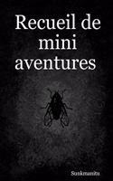 Recueil de mini aventures